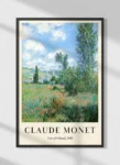 monet-view