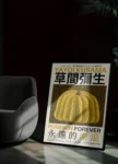 Yayoi-Kusama-Pumpkin-Forever
