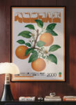Orangacello