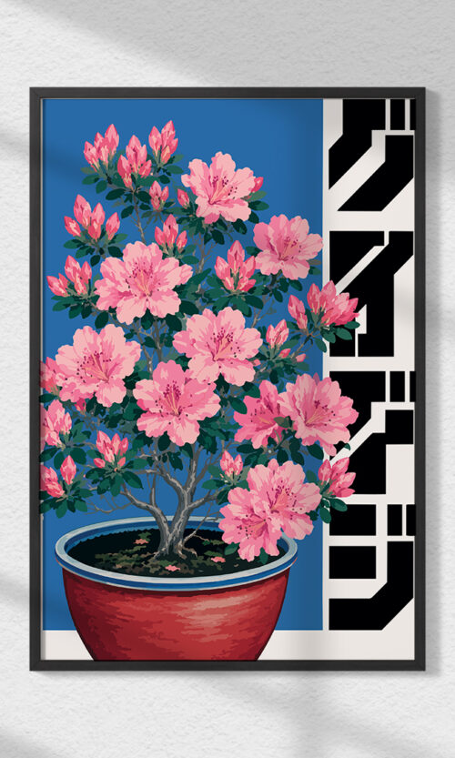 Cherry Plant
