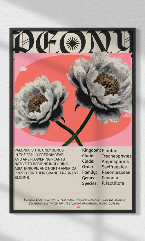Abstract Flower