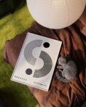 Bauhaus ausstellung1Mockup_3