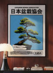 Bonsai Exhibition