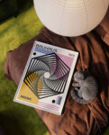 bauhaus 1951Mockup_3