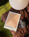 bauhaus 1967Mockup_3