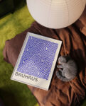 bauhaus 1969Mockup_3