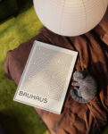 bauhaus 1970Mockup_3