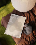 bauhaus 1998Mockup_3