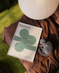 bauhaus 1999Mockup_3