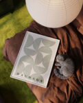 greenbauhausMockup_3